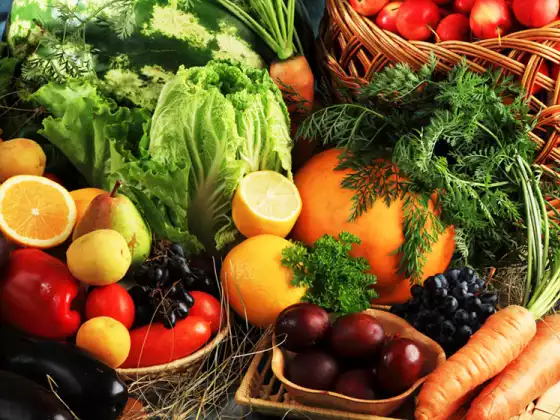 4 Wunder der Küche – Essentielle Bio-Rezepte in 30 Minuten oder weniger – Mehrsprachig